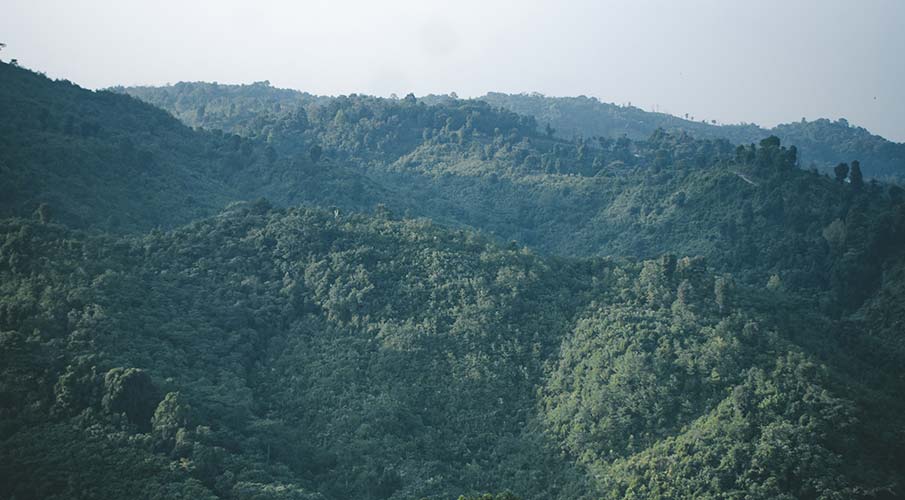 Nokrek National Park