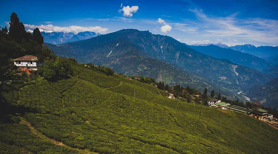Assam Tourism