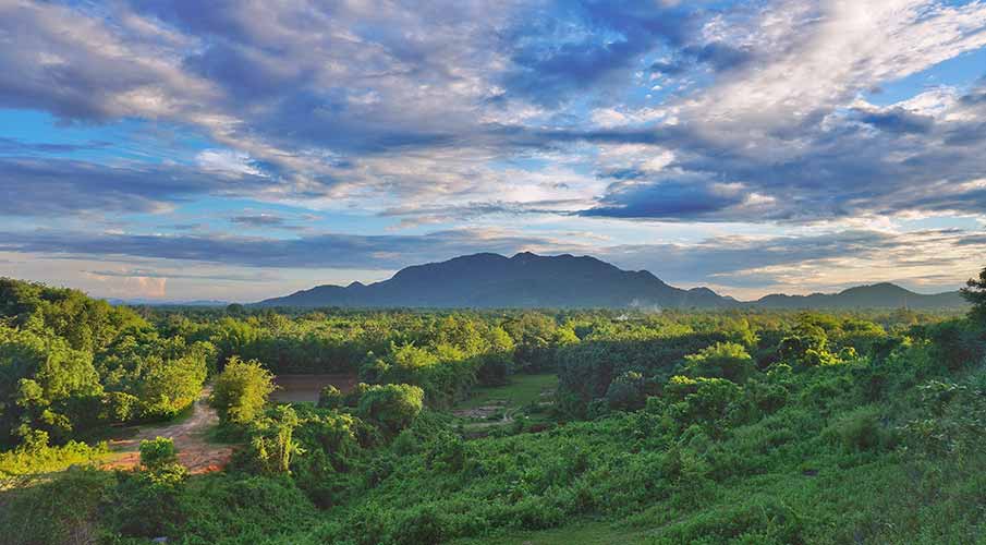 Assam