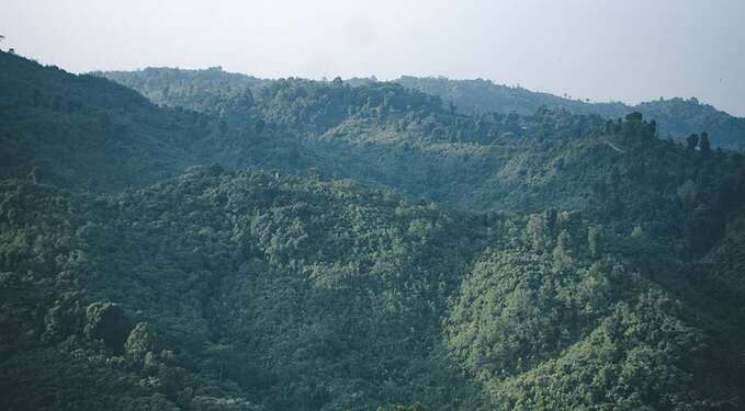 Nokrek National Park